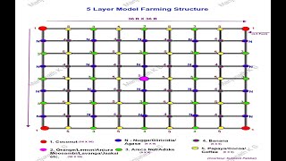 5 Layer Model Farming | Subhash Palekar Model | ಪಂಚತರಂಗಿಣಿ ಯೋಜನೆ | Natural Farming