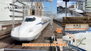 【種別多数収録！】 東海道新幹線 新横浜駅 発車•到着集(N700A型・N700S型)