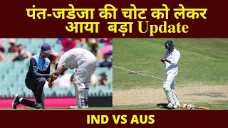 Ind vs Aus: Ravindra Jadeja और Pant की चोट को लेकर आया बड़ा Update, जानिए क्या होगा अब दोनों का