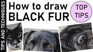 HOW TO DRAW BLACK FUR | TIPS FOR DRAWING BLACK FUR IN PASTELS