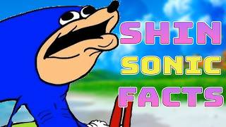 Shin Sonic Full Lore Explained (Shin Sonic Tapes)