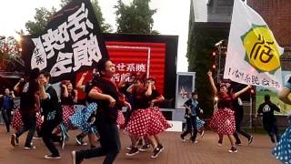 よさこい　いなせ系暁会活頗組　札幌ガーデンパーク