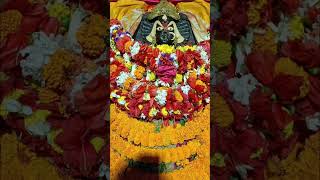 Maa Biraja Darshan | Daily Devi Maa Biraja Darshan #shortsfeed #devi #ytshorts #dailydarshan