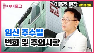 [아이품고 전문가 교육/이용호 원장] 임신 주수별 변화 및 주의사항