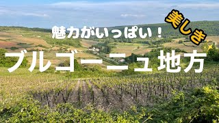 フランス最高級のワインの産地ブルゴーニュ地方コートドール県コートドボーヌに魅せられて La beauté de la Côte de Beaune en Bourgogne