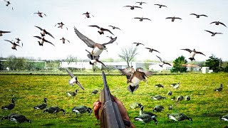120 BIRD 20 MAN LIMIT! OKLAHOMA WIGEON DUCK HUNT 2025!