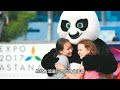 历史上的大熊猫there is a new giant panda in qatar. why does everyone like it