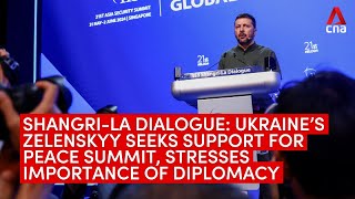 Shangri-La Dialogue: Ukraine’s Zelenskyy seeks support for peace summit