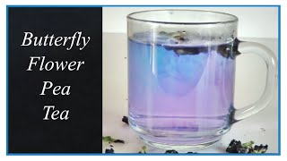 Why Chemists Drink Butterfly Flower Pea Tea  🍵