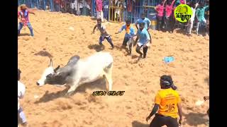 🙏அய்யனார்🙏 #jallikattu #manjuvirattu #video #rekalarace #jallikattuforever #kaalai #அய்யனார் #தமிழர்