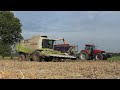 jesień 2015 lexion 540 vs. kukurydza na ziarno gra