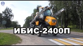 ИБИС 2400П