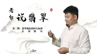 翡翠行内有句话是色差一级，价差十倍。如何辨别翡翠的色级呢？