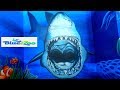 Blue zoo in Spokane | Interactive aquarium you can touch and feed wildlife