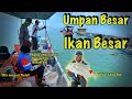 #V56 Trip Sangkar Kuala Gula ⎮ Umpan Besar Ikan Pun Besar! #mrfishin #fishing #mancing #gt #belanak