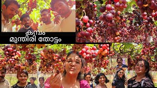 കമ്പം മുന്തിരി തോട്ടം | Kambam Grape Garden | Kambam grape farm | Grape farm in Cumbum