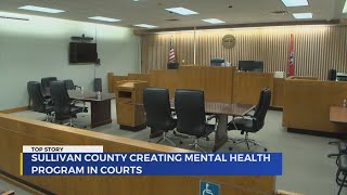 Mental health court coming to Sullivan County