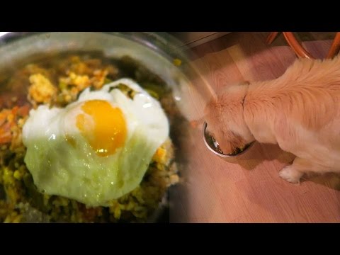Making High Quality Homemade Dog Meals! (Super Cooper Sunday #32) Making High Quality Homemade Dog Meals! (Super Cooper Sunday #32)