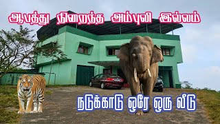 Thrill Night Stay in Ambuli House, Topslip | Parambikulam Safari | Jolly Trip