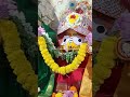 shree baladev janmoschaba shri jagannath pith sompura bangalore jai jagannath swami🛕