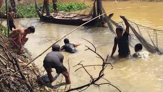 Amazing Cambodia Villagers Traditional Net Fishing by hands, How can they catch so many fish by net
