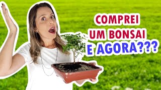 Como cuidar de BONSAI | Dicas para iniciantes | Cuidados básicos