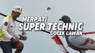 AKSI MERPATI