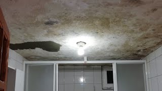 ANTILIZATION WITH CEILING COATING FOAM. Ceiling coating