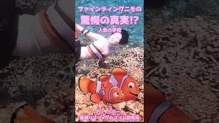 🧜‍♀️知りたくなかったファインディングニモの真実/マーメイドスイム #mermaid #マーメイド #人魚