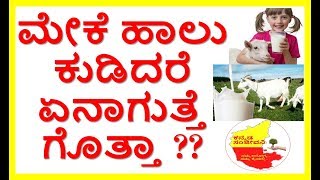 Health Benefits of Goat Milk..Kannada Sanjeevani..