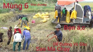 Cắt Lúa Mùng 6 Tết Ai Chơi Để Đường Vô Thùng Dầu