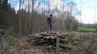 chestnut coppice wood processing