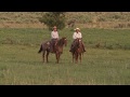 Region 4 Stewardship Winner: Turkey Track Ranch