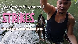 Menyelam di spot no 3//Strikes ikan Banta dan Baung lagi gaiss #fypシ゚viral #ikanairtawar #fishing