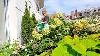 Getting Ready For Fall - Balcony Gardening Day 🍁🌱 | 17m2garden