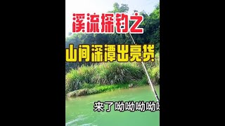 深潭静水石斑如何垂钓，静水逗着钓，饵料选择蚯蚯加饵料，石斑受不了。#溪流钓 #溪石斑 #一斤重的溪石斑 #原来钓鱼才是抖音运动顶流 #钓溪石斑鱼的方法和技巧