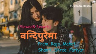 Bandipurai Ma (Slowed & Reverb) Prem Raja Mahat || Shanti Shree Pariyar || D2SLOWMUSIC