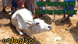 রবিবার ০৭ মে ২৩ | হাটের ভিতরে অসুস্থ গরু কেনার আগে সাবধান  | Hāḍḍisāra garura dāma jānuna |