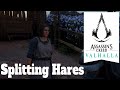 Assassin's Creed Valhalla Splitting Hares