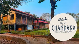 Chandaka Wildlife Sanctuary-Deras NatureCamp/ OffbeatOdisha/ OdishaTour/Thegallivantrovers