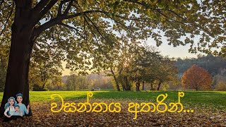 වසන්තයේ අග ලස්සන අතරින් ඇවිදගෙන යමු. - Germany