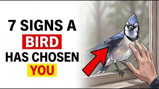 7 Signs a Bird Has Chosen You and Exactly What That Connection Is Telling You