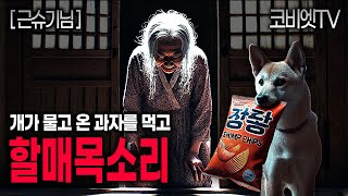 큰이모댁 갔다가 겪은 잊을 수 없는 미스테리 '할매목소리'｜근슈기님 제보사연｜무서운이야기 실화｜공포라디오｜공포썰｜괴담｜코비엣TV