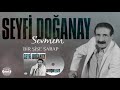 seyfi doğanay bir Şişe Şarap