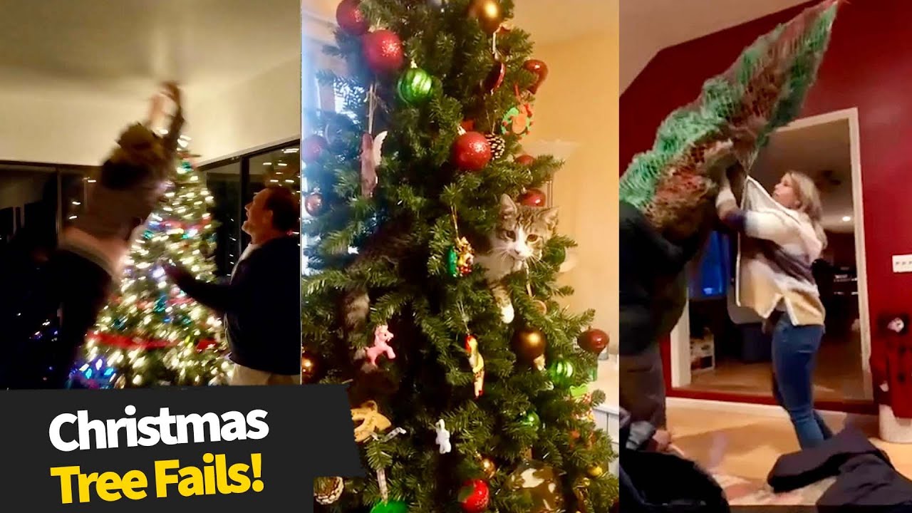 The Best Christmas Tree Fails Youtube