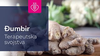 Đumbir i terapeutska te ljekovita svojstva ove biljke - nutricionist Nu3vex