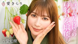 雪平莉左が大っきくてあま~い「愛きらり」と「でかきらり」を食べまくる