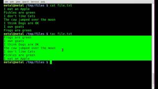 BASH Quick Tip - Reversing a Text File - Linux