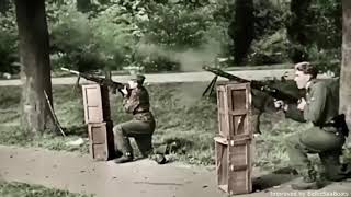 Espectacular grabación de la Infantería Alemana durante la Segunda Guerra Mundial.