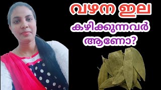 വഴന ഇല കഴിക്കുന്നവർ ആണോ?||Bay Leaf In Malayalam||@HealthiesBeauties